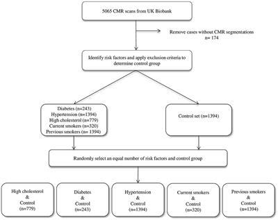 Radiomics Signatures of Cardiovascular Risk Factors in Cardiac MRI: Results From the UK Biobank
